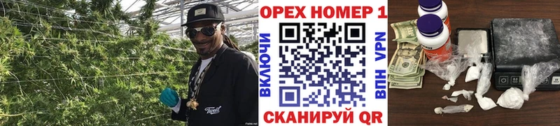 shop Telegram сколько стоит Динская Кокаин 97%