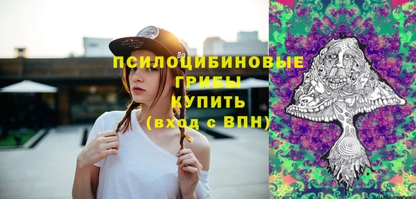 ешки Алексеевка
